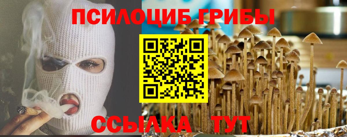 хочу наркоту  Псилоцибиновые грибы прущие грибы  Псилоцибиновые грибы Magic Shrooms  Вход с VPN  Тихорецк 